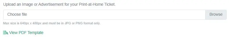 View PDF Ticket Template