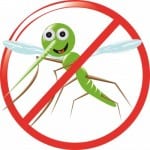 No bugs