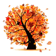 Fall Tree