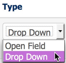 Type Drop Down Box