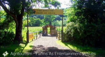 The Rise of Agritourism - Farms as Entertainment Venues