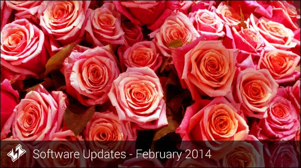 bouquet of roses for February software updates