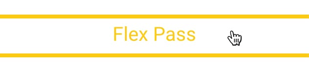 flex pass